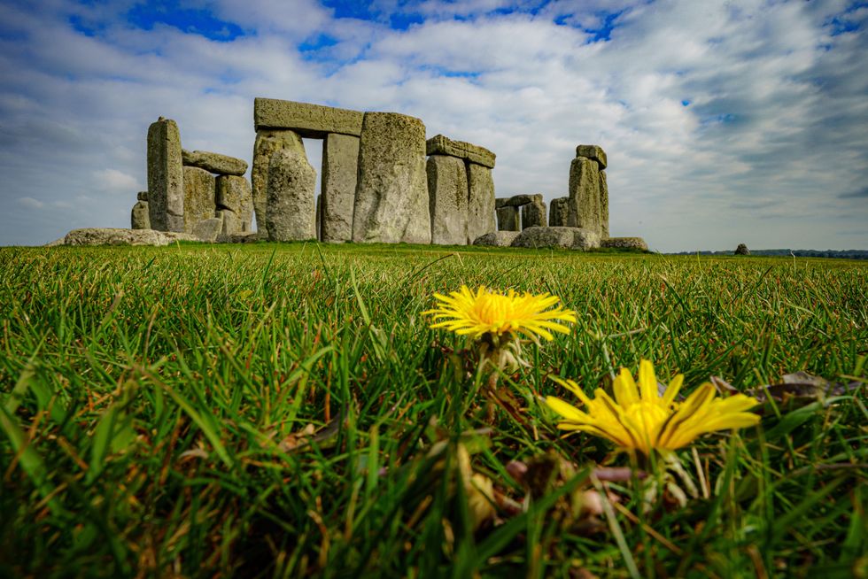 Flowers grow around the stone circle at Stonehenge, Wiltshire