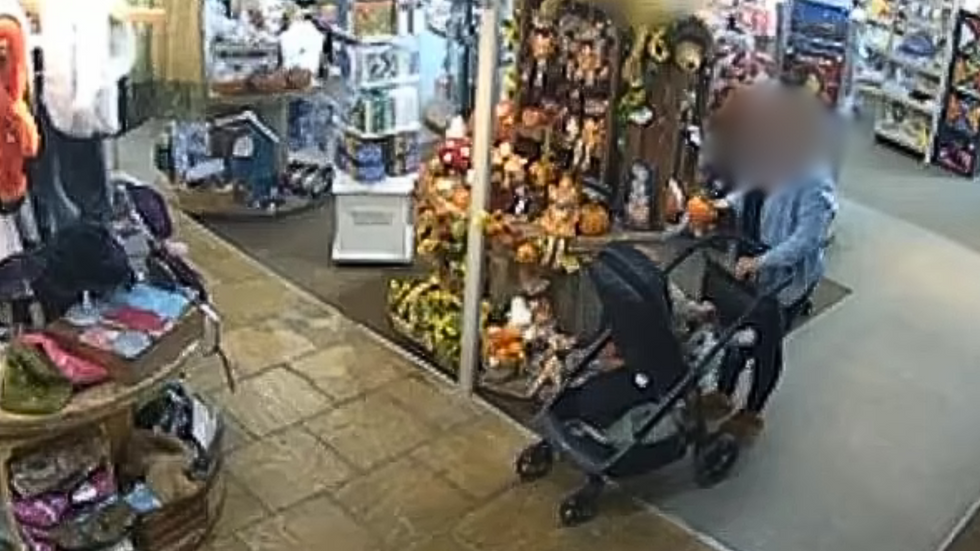 Garden centre theft