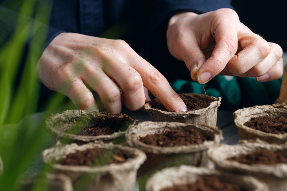 gardening hack in august