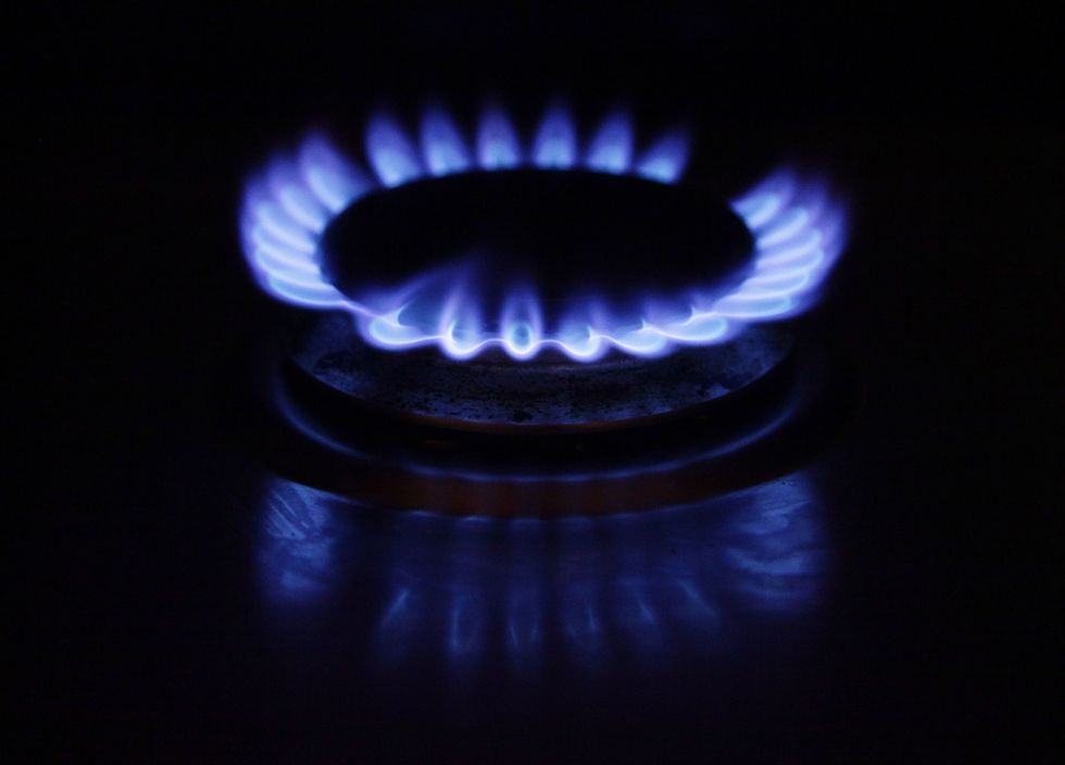 Gas hob in pictures