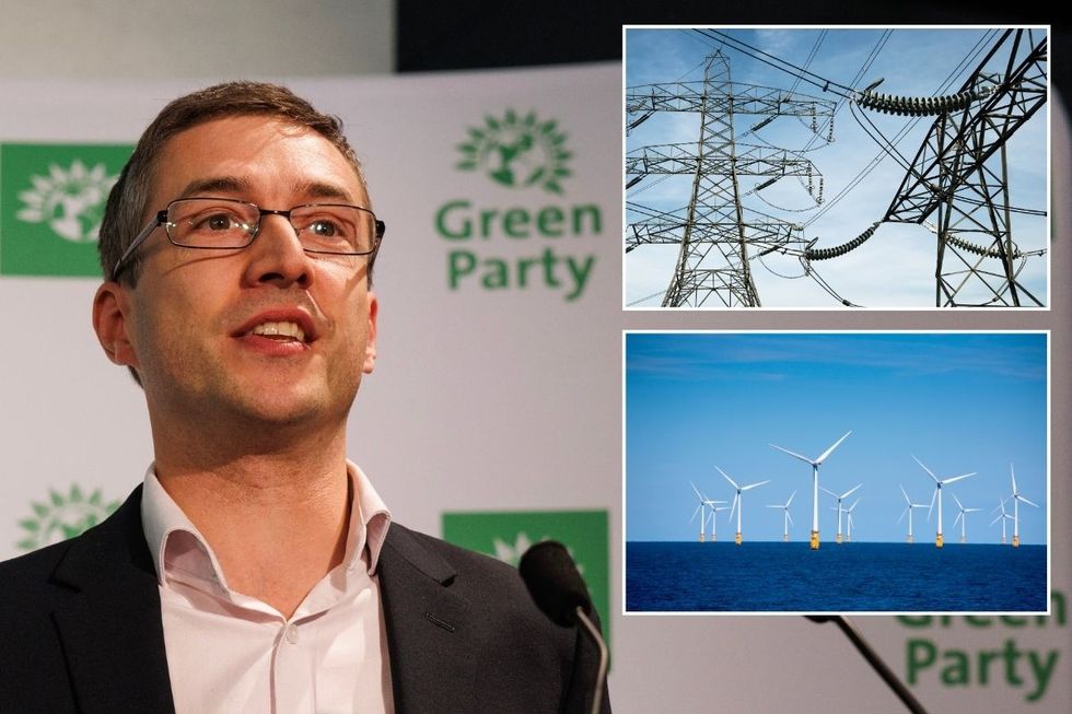 Green Party leader vows to oppose GREEN energy plan