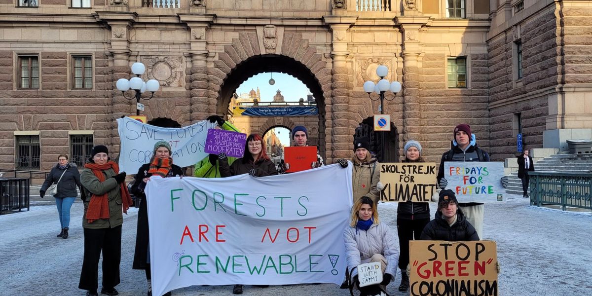 Greta Thunberg's latest climate strike attended by just ten activists ...