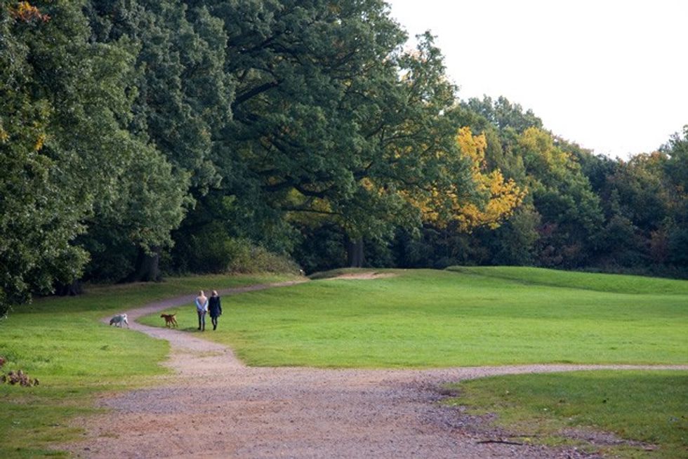 Hampstead Heath