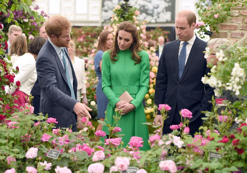 Harry, Kate and William