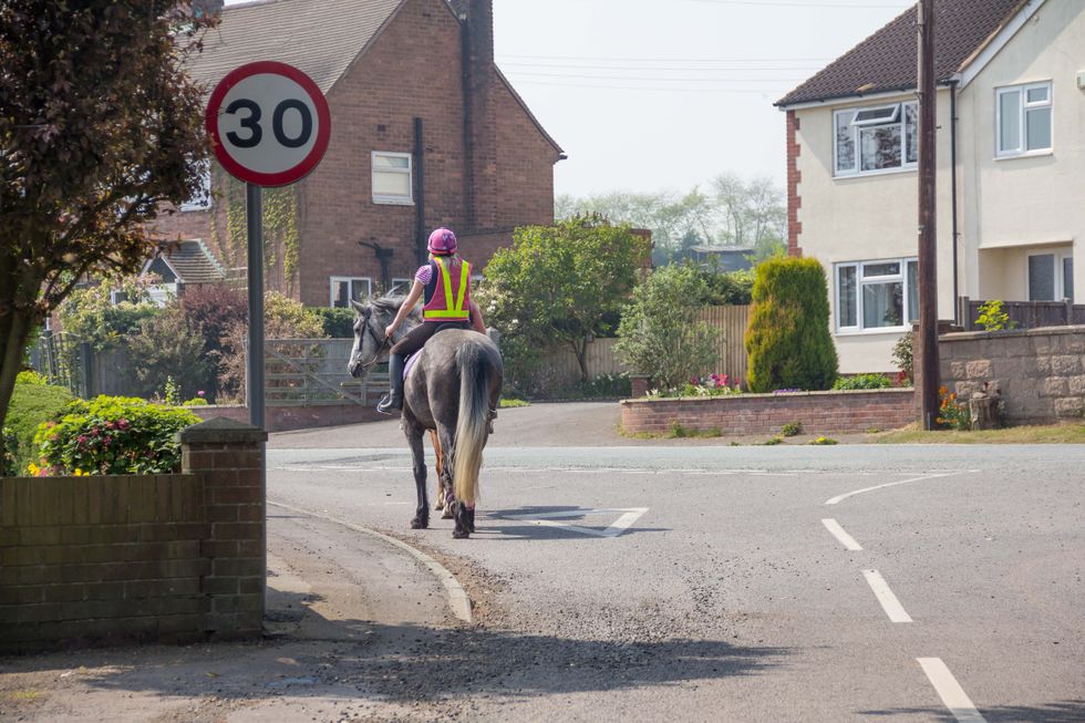 Horse rider on the road