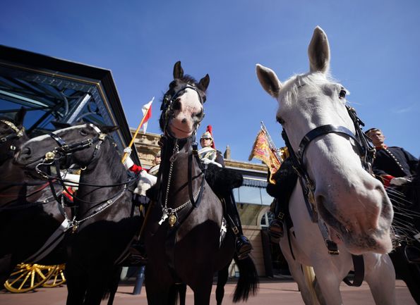 Kuajt në Royal Mews