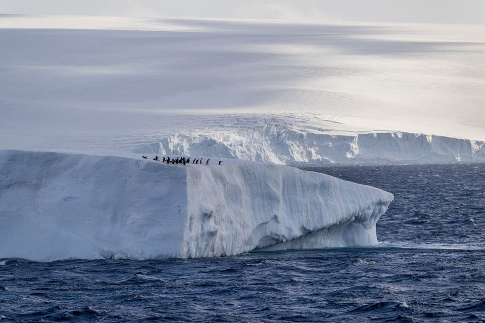 Iceberg (Stock)