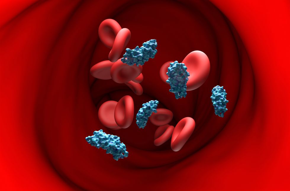 Illustration of apolipoprotein-E4 molecules (Apo-E4 blue) in a blood vessel with red blood cells (red)