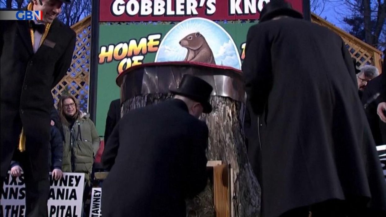 Groundhog Day: Punxsutawney Phil predicts early spring for USA