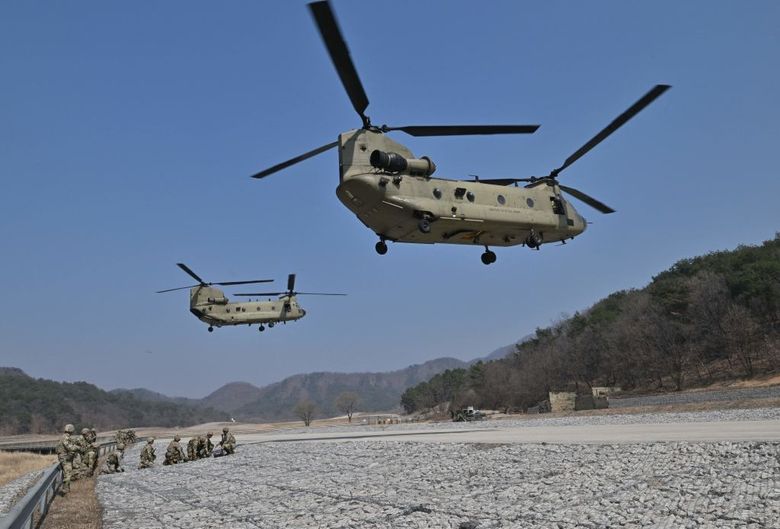 Crocodile sex frenzy triggered by Chinook helicopters and thunder