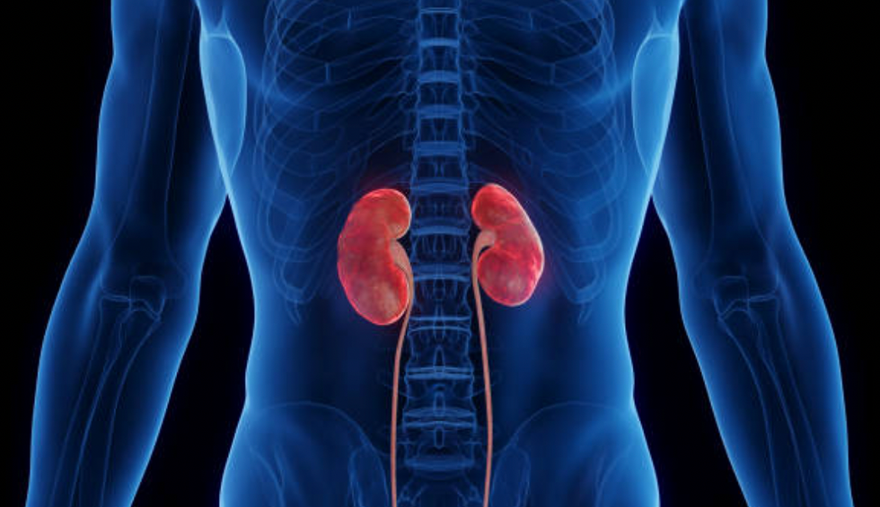 Inflamed kidneys