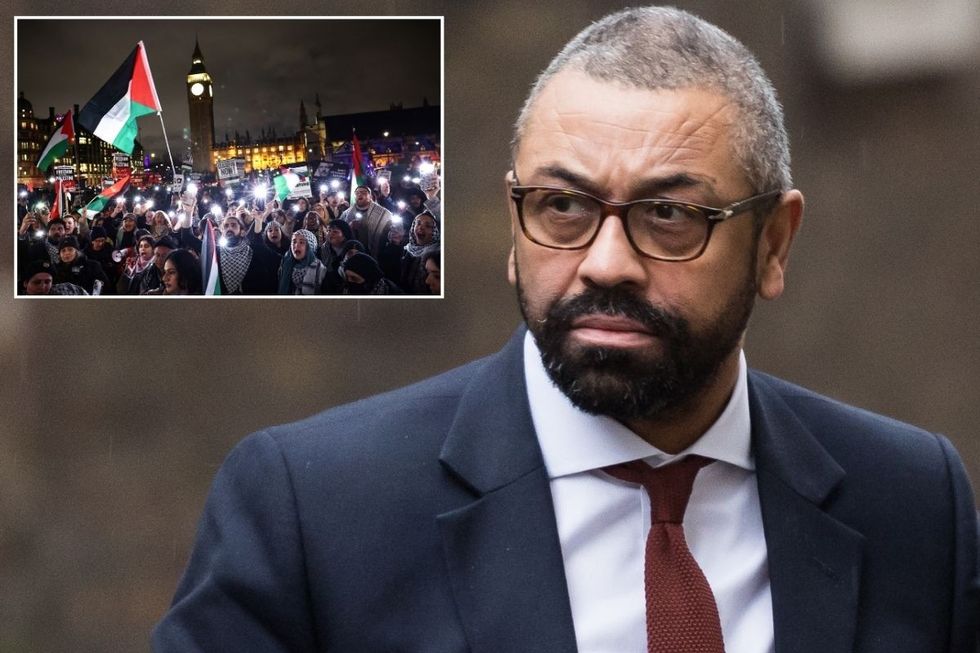 James Cleverly has criticised pro-Palestine protesters