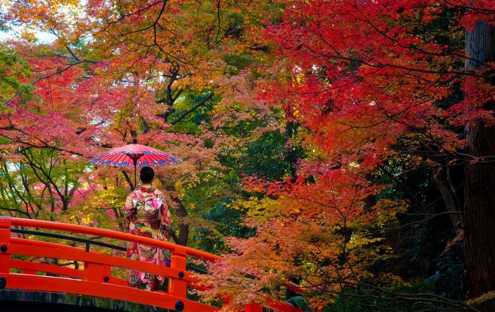 JAPAN TREES AND BRIDGE