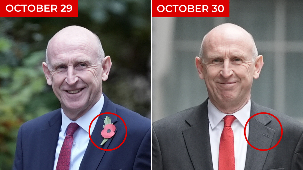 John Healey poppy comparison photos