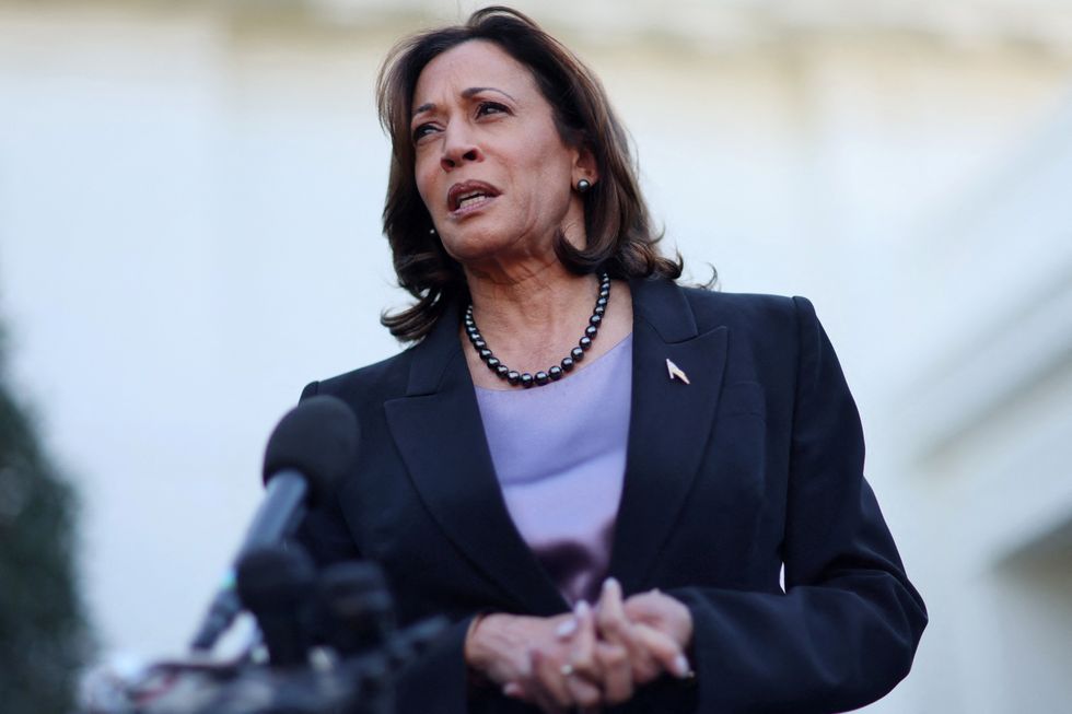 Kamala Harris could be 'sidelined' by fellow Dems if Biden exits 2024 ...