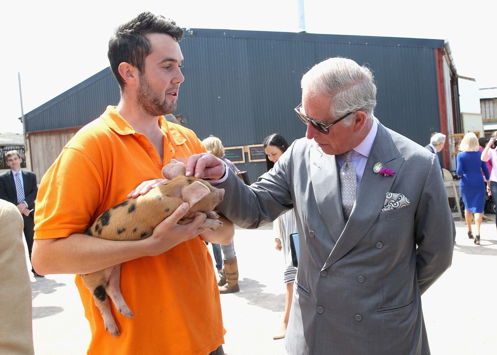 King Charles stroking a piglet