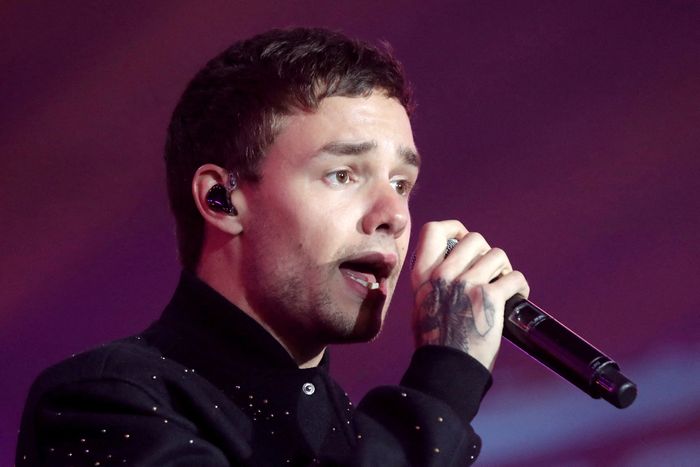 Liam Payne's Confounding Final Moments: Police Release Statement on Charges