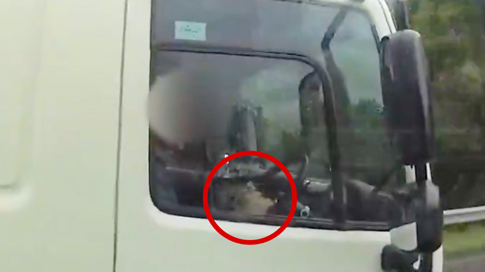 Lorry driver eating behind the wheel