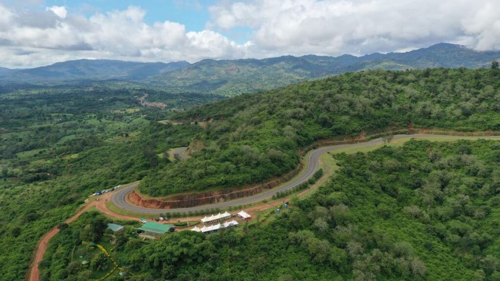 Makongo forest