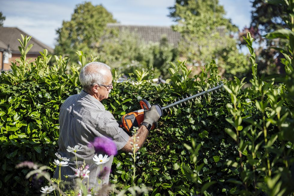 Man cutting down a hedge