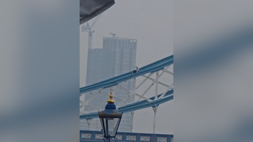 Man on Tower Bridge