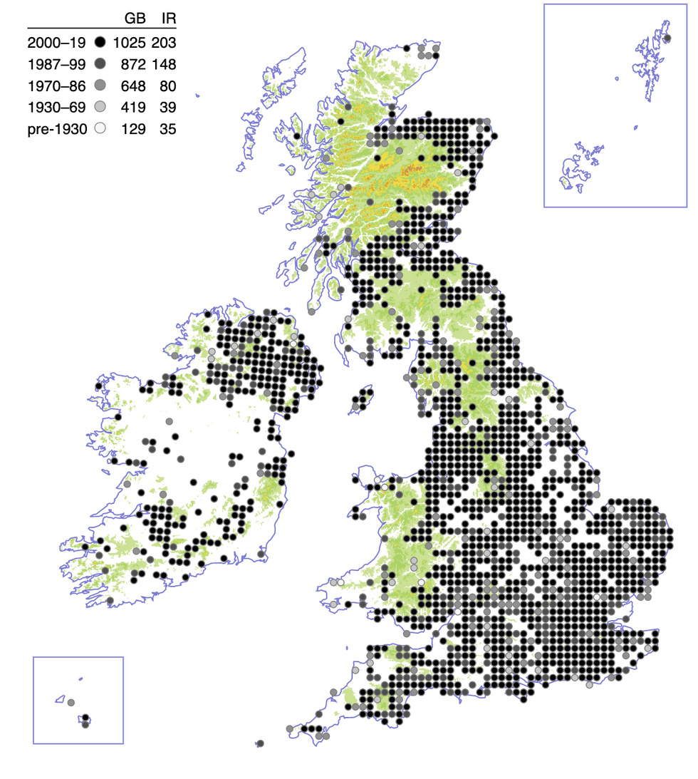 Map of giant hogweed