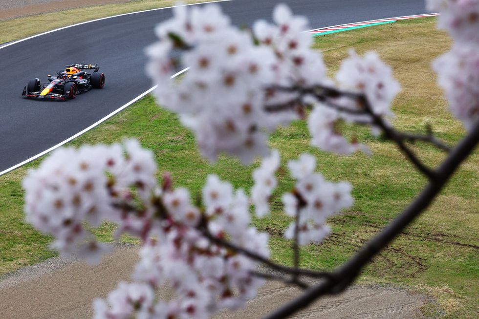 Max Verstappen