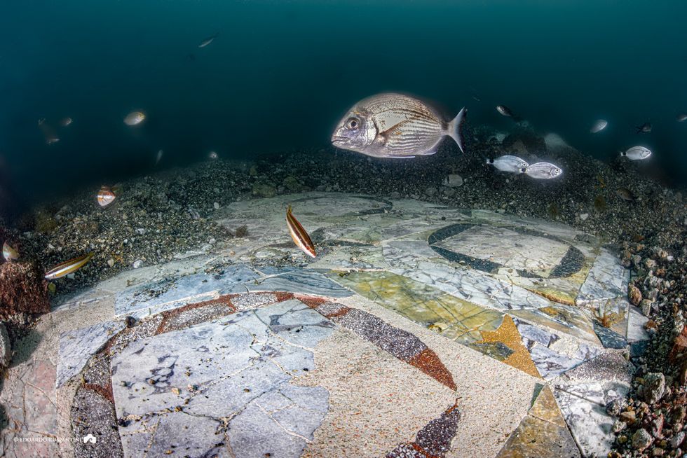 Mosaic underwater