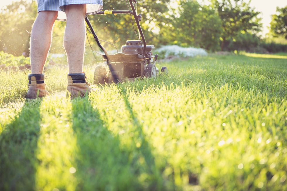 Mowing the lawn