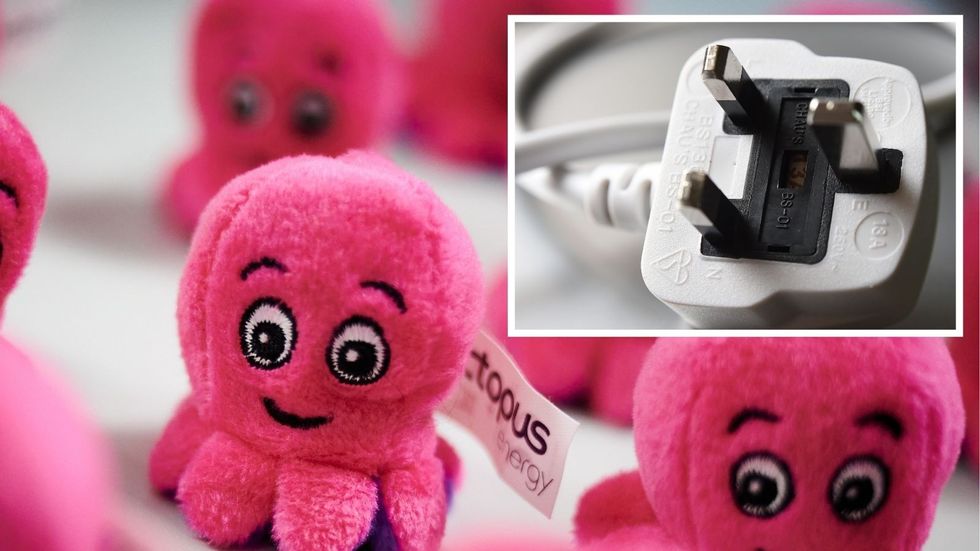 Octopus Energy merchandise and electricity plug