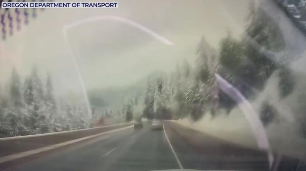 WATCH: Lucky escape for US driver as tree falls on vehicle in Oregon