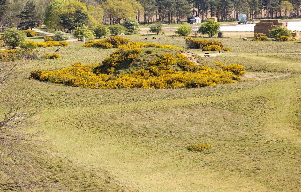 Overview of Anglo-Saxon royal burial ground, Sutton Hoo, Suffolk, England, UK