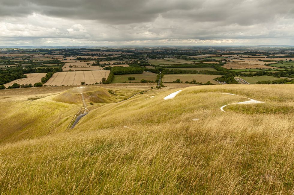 Oxfordshire Meadows