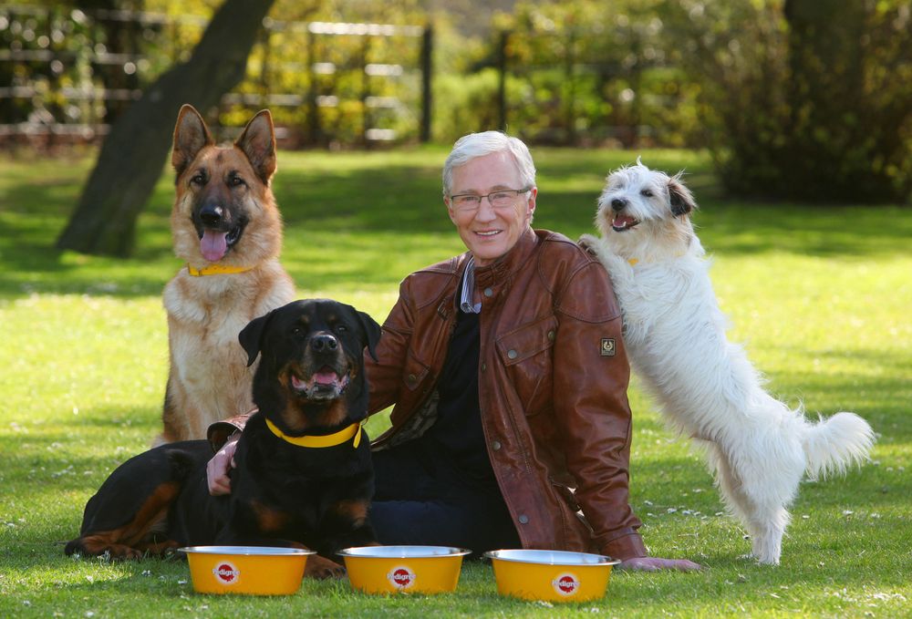 Paul O'Grady and dogs