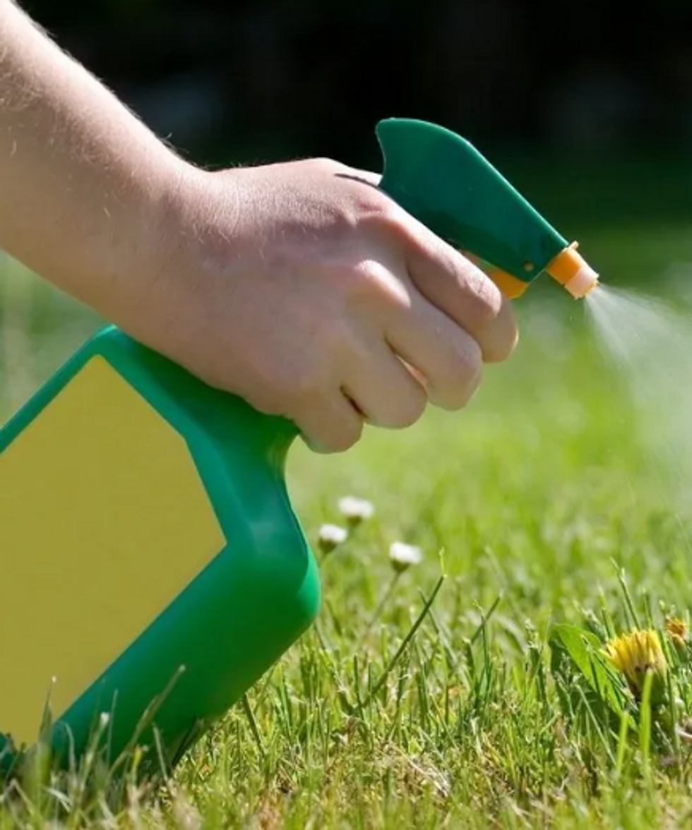 Person spraying weeds