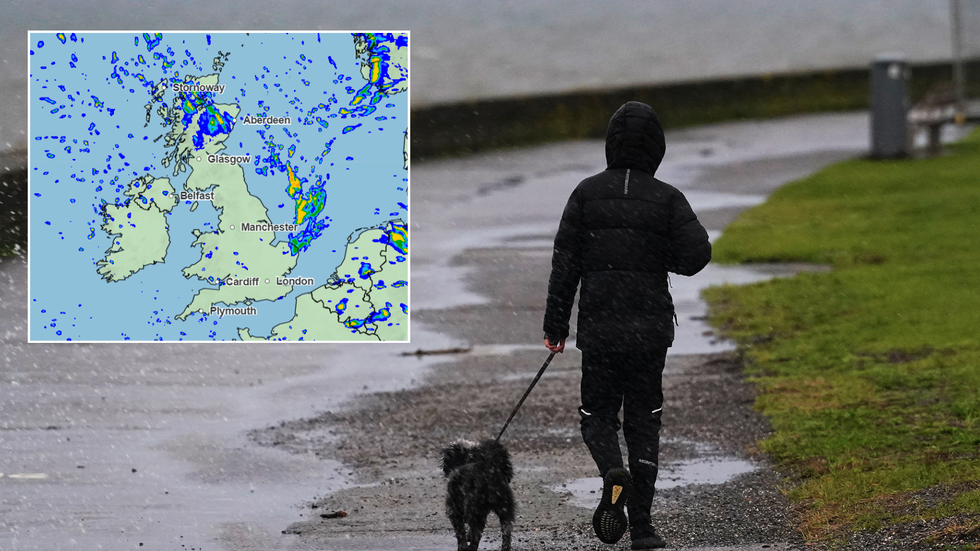 Person walking dog in windy and rainy weather