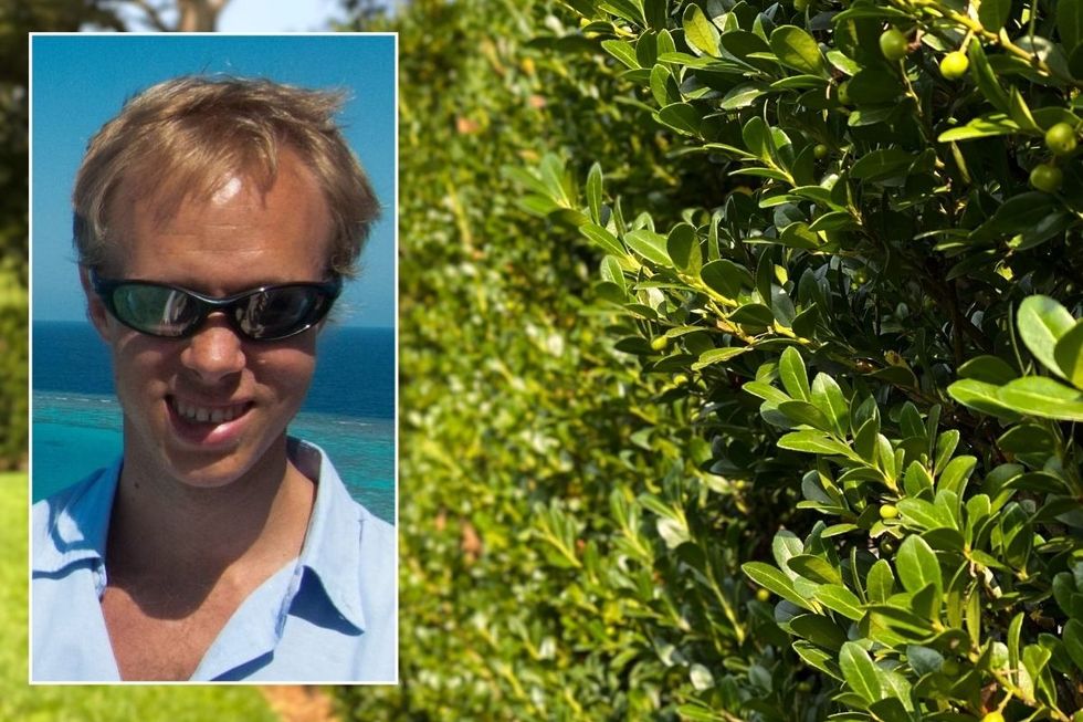 Peter Walker-Smith (inset) and a stock image of a hedge