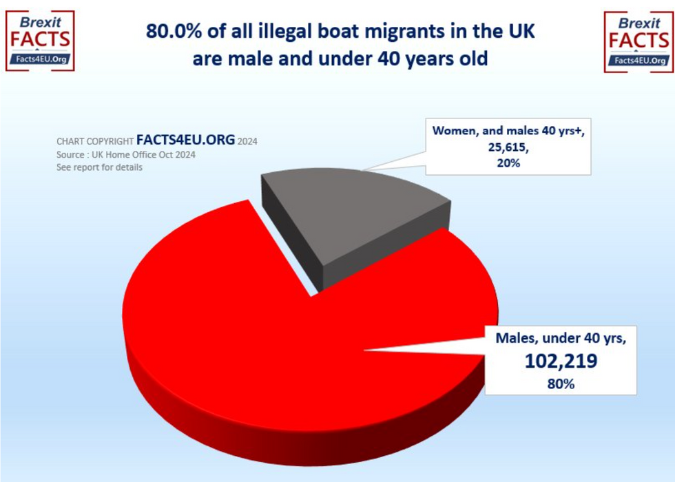 Pie chart of age and gender of all illegal boat migrants