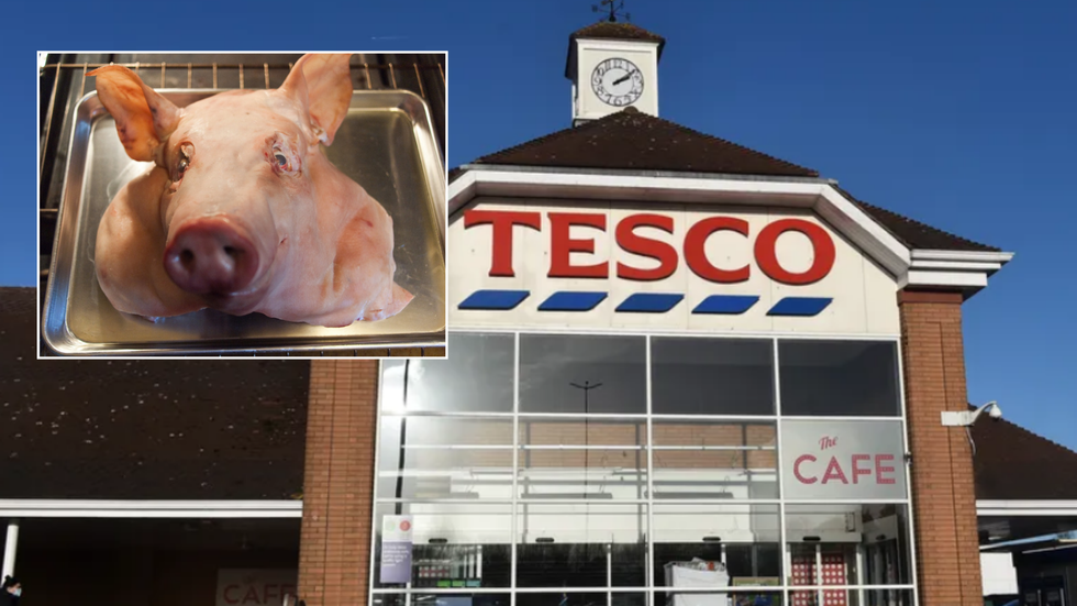 Pig's head (stock)/Tesco