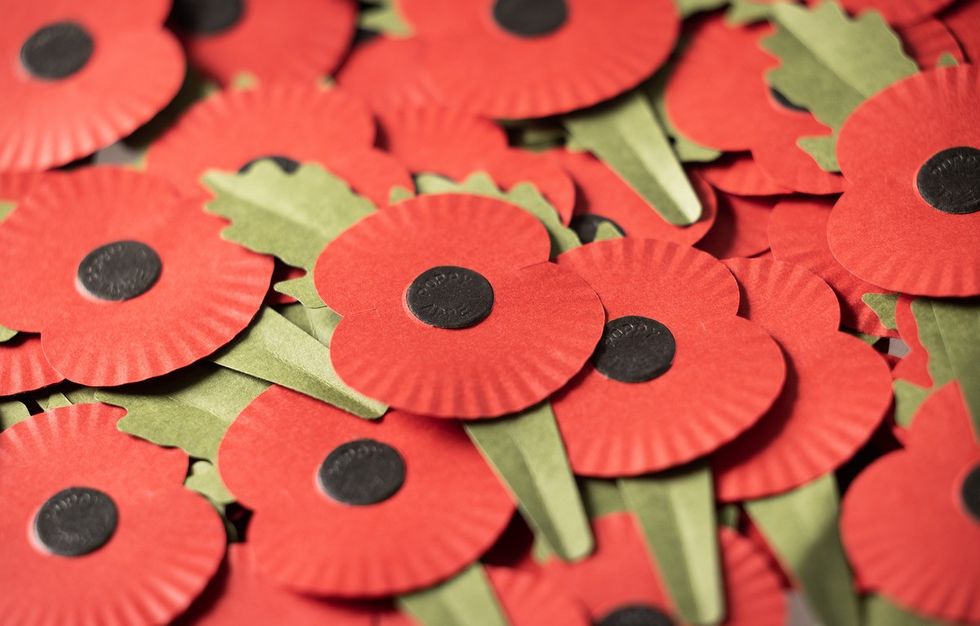 Poppies mark Armistice Day