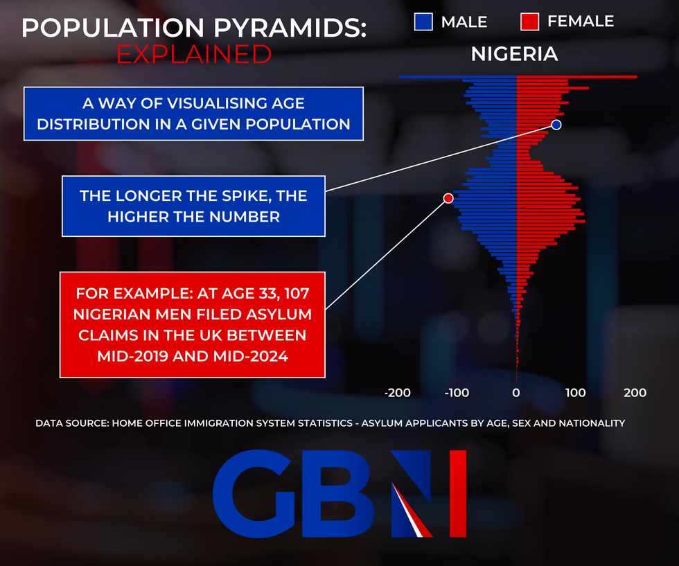 Population pyramid explainer