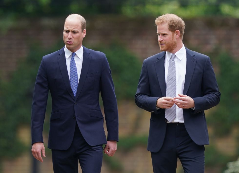 Prince Harry and Prince William