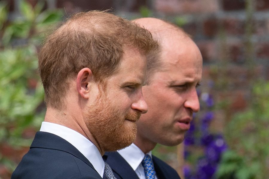 Prince Harry and Prince William