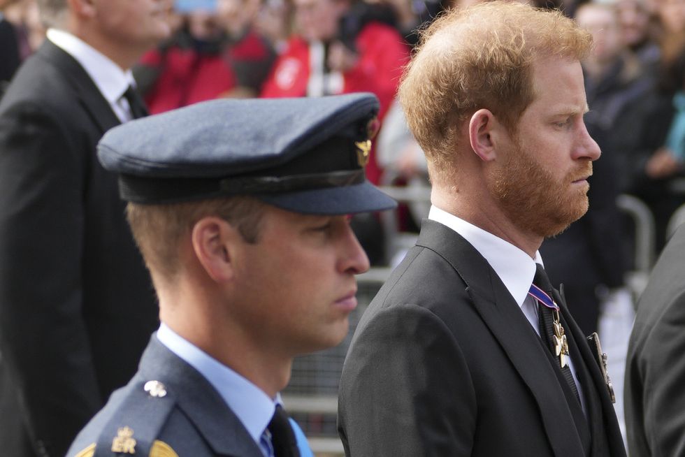 Prince Harry and Prince William