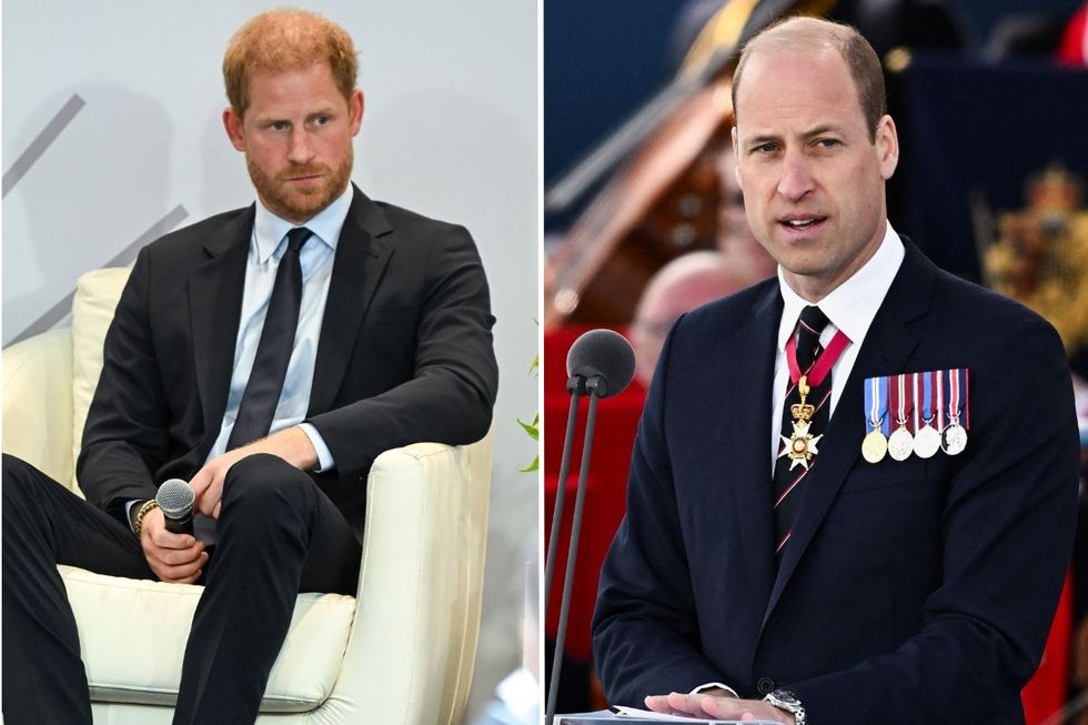 Prince Harry and Prince William