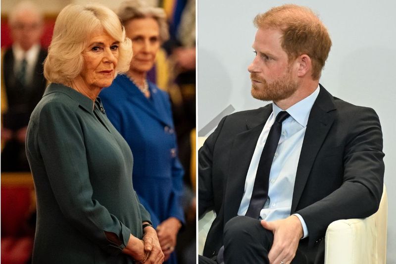 Prince Harry and Camilla's relationship in tatters as Queen 'will show him  no mercy'