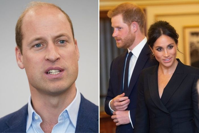 Prince Harry, Meghan Markle and Prince William