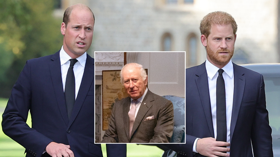 Prince Harry, Prince William and King Charles