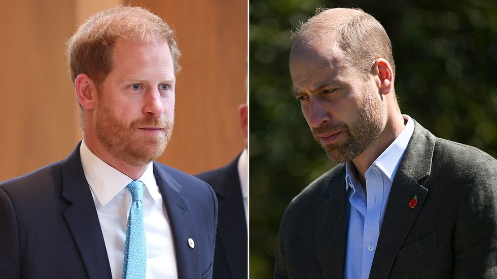 Prince Harry, Prince William