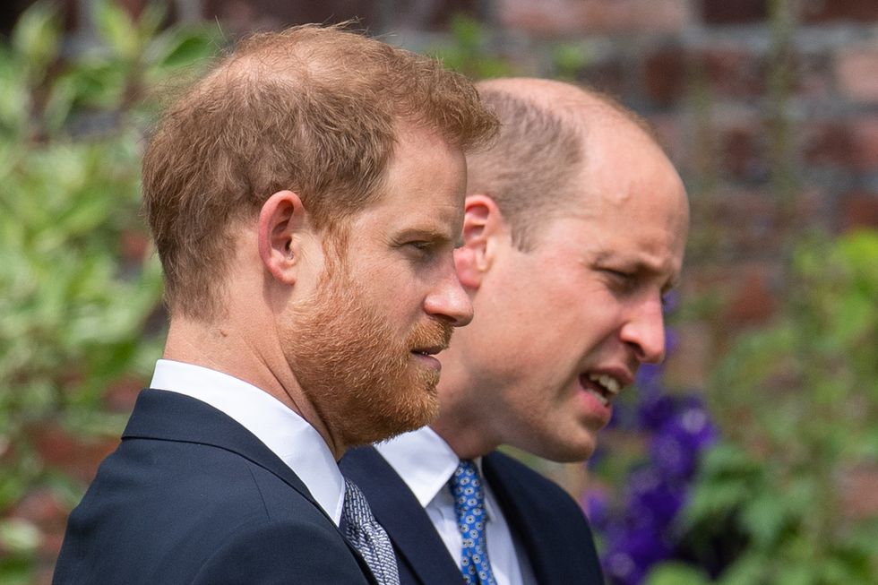 Prince William and Prince Harry